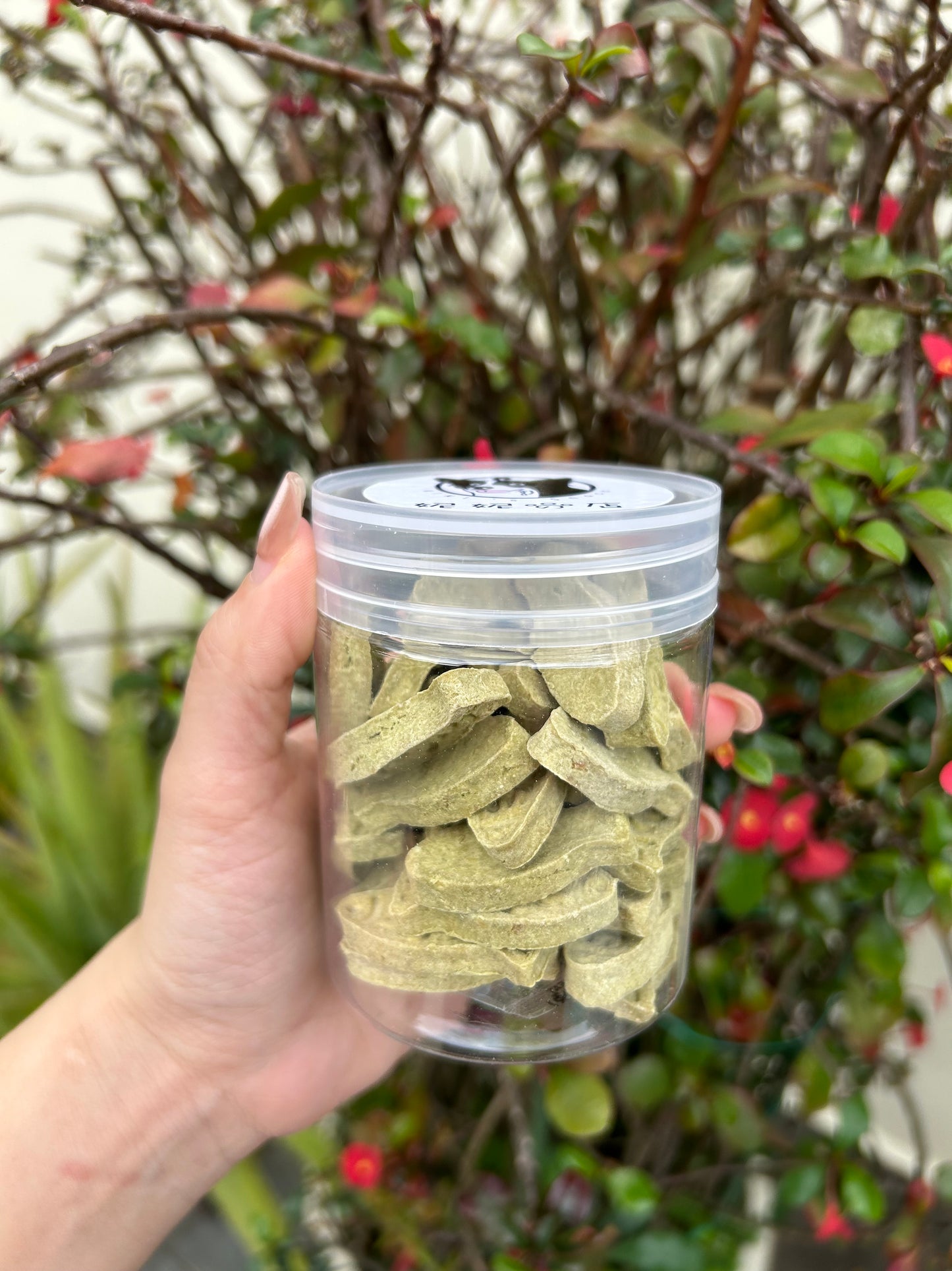 猫草奶酪饼干 Cat Grass Biscuit