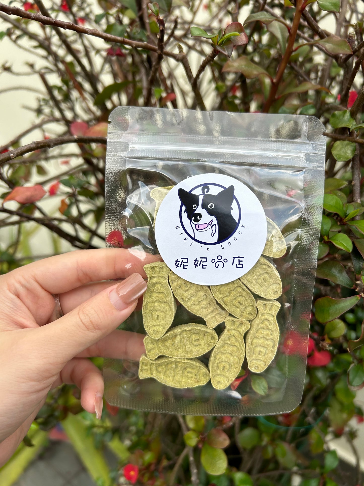 猫草奶酪饼干 Cat Grass Biscuit