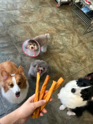 Piggy Rolls 猪皮卷 5pcs