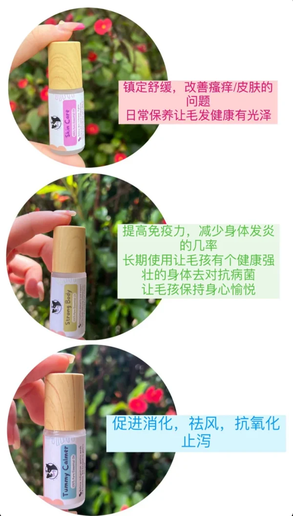 Natural Essential Oil