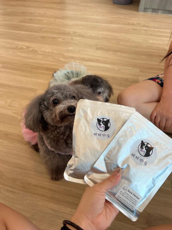 Wet food for dog (main course)